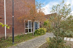 Arizonahof 16-04.jpg